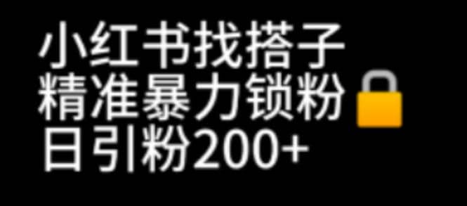 小红书找搭子暴力精准锁粉+引流日引200+精准粉网创吧-网创项目资源站-副业项目-创业项目-搞钱项目搞钱网创吧
