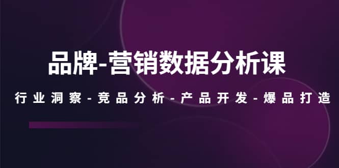 品牌-营销数据分析课，行业洞察-竞品分析-产品开发-爆品打造搞钱网创吧-网创项目资源站-副业项目-创业项目-搞钱项目搞钱网创吧