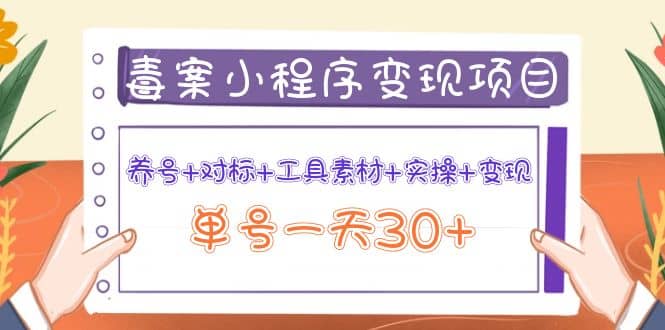 毒案小程序变现项目：养号+对标+工具素材+实操+变现网创吧-网创项目资源站-副业项目-创业项目-搞钱项目搞钱网创吧