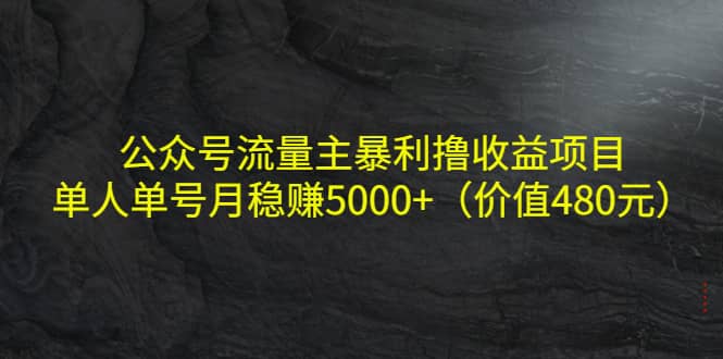 公众号流量主暴利撸收益项目，单人单号月稳赚5000+（价值480元）网创吧-网创项目资源站-副业项目-创业项目-搞钱项目搞钱网创吧