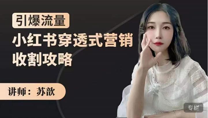 小红书穿透式营销收割攻略，引爆流量，助你玩转小红书网创吧-网创项目资源站-副业项目-创业项目-搞钱项目搞钱网创吧