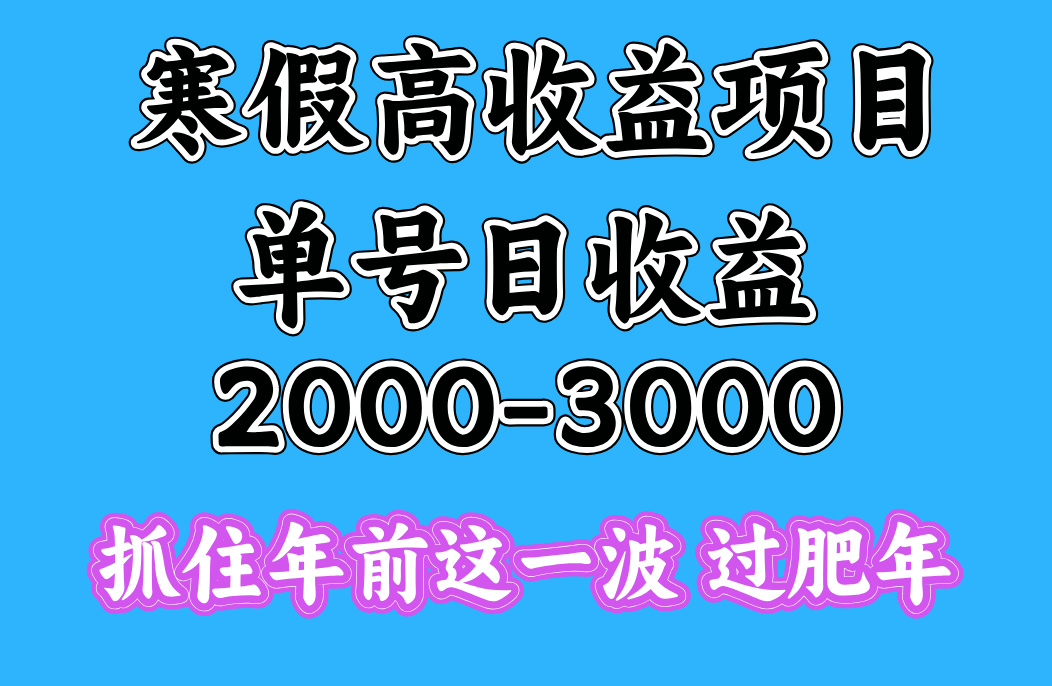 寒假期间一天收益2000-3000+，抓住年前这一波搞钱网创吧-网创项目资源站-副业项目-创业项目-搞钱项目搞钱网创吧
