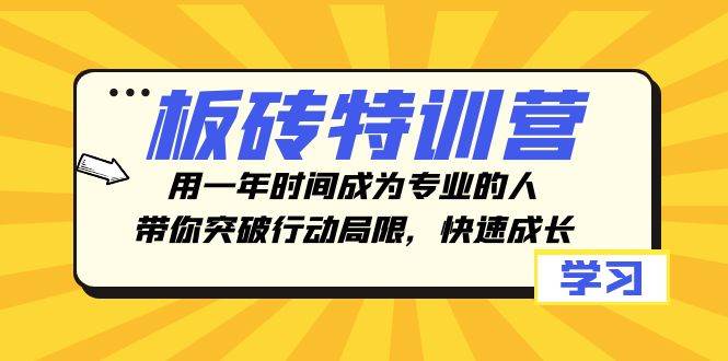 板砖特训营，用一年时间成为专业的人，带你突破行动局限，快速成长网创吧-网创项目资源站-副业项目-创业项目-搞钱项目搞钱网创吧