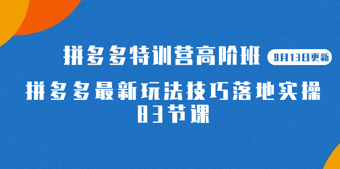 2023拼多多·特训营高阶班【9月13日更新】拼多多最新玩法技巧落地实操-83节网创吧-网创项目资源站-副业项目-创业项目-搞钱项目搞钱网创吧