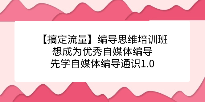 【搞定流量】编导思维培训班，想成为优秀自媒体编导先学自媒体编导通识1.0搞钱网创吧-网创项目资源站-副业项目-创业项目-搞钱项目搞钱网创吧