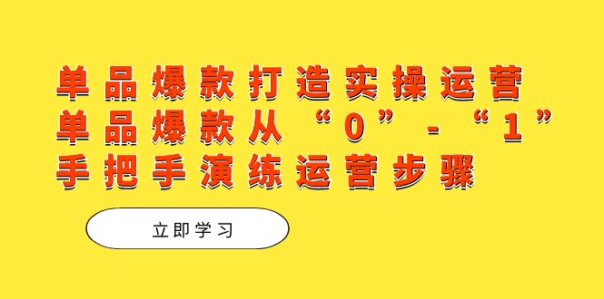 单品爆款打造实操运营，单品爆款从“0”-“1”手把手演练运营步骤网创吧-网创项目资源站-副业项目-创业项目-搞钱项目搞钱网创吧