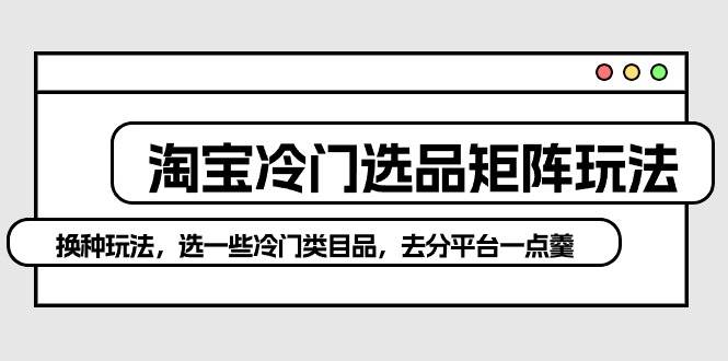 淘宝冷门选品矩阵玩法：换种玩法，选一些冷门类目品，去分平台一点羹网创吧-网创项目资源站-副业项目-创业项目-搞钱项目搞钱网创吧