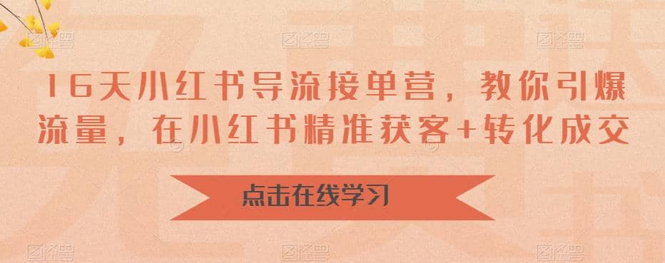 16天-小红书 导流接单营，教你引爆流量，在小红书精准获客+转化成交搞钱网创吧-网创项目资源站-副业项目-创业项目-搞钱项目搞钱网创吧