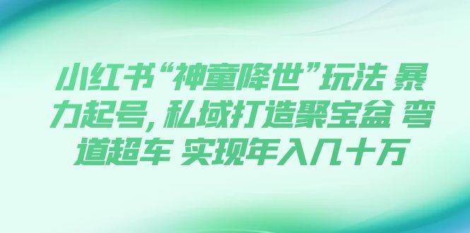 小红书“神童降世”玩法 暴力起号,私域打造聚宝盆 弯道超车 实现年入几十万搞钱网创吧-网创项目资源站-副业项目-创业项目-搞钱项目搞钱网创吧
