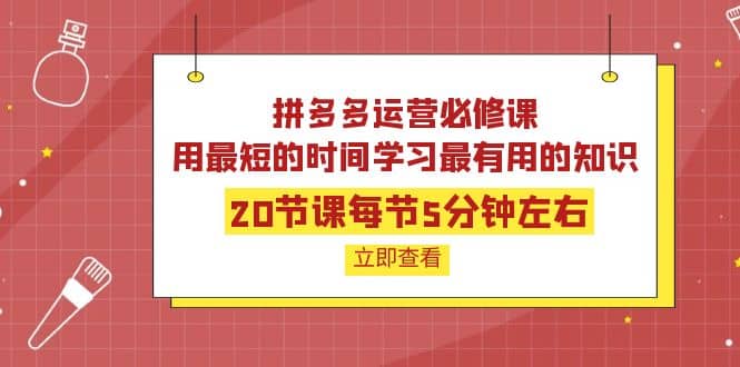 拼多多运营必修课：20节课每节5分钟左右，用最短的时间学习最有用的知识网创吧-网创项目资源站-副业项目-创业项目-搞钱项目搞钱网创吧
