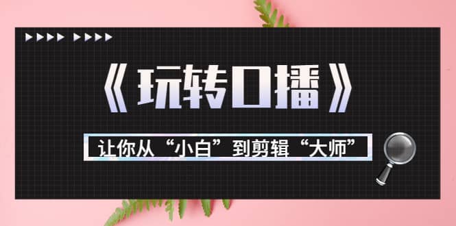 月营业额700万+大佬教您《玩转口播》让你从“小白”到剪辑“大师”网创吧-网创项目资源站-副业项目-创业项目-搞钱项目搞钱网创吧