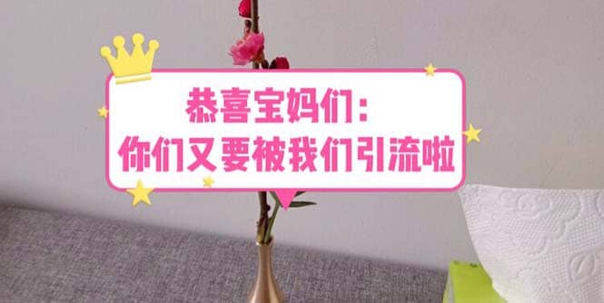 恭喜宝妈们：你们又要被我们引流了（教程+222g资料）网创吧-网创项目资源站-副业项目-创业项目-搞钱项目搞钱网创吧