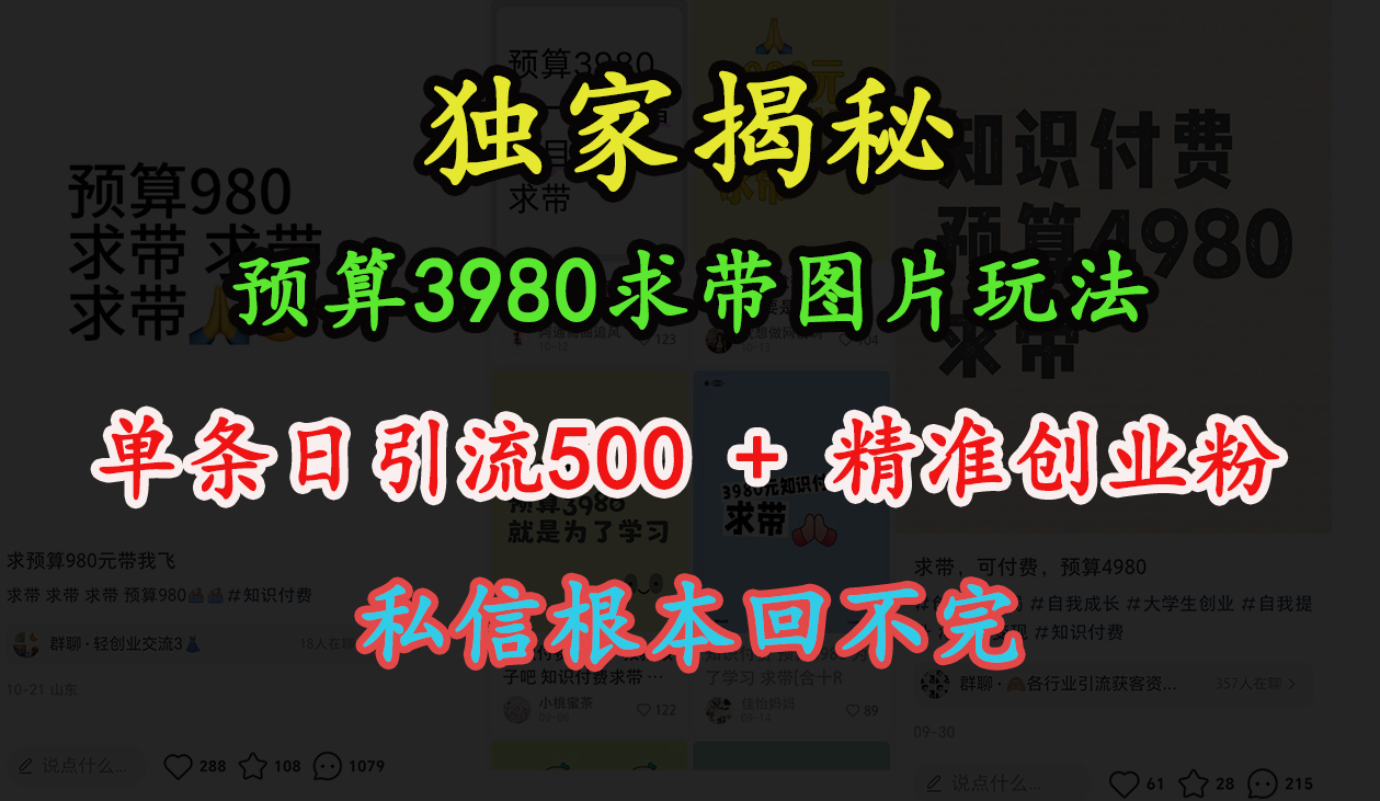 “小红书”预算3980求带 图片玩法，单条日引流500+精准创业粉，私信根本回不完搞钱网创吧-网创项目资源站-副业项目-创业项目-搞钱项目搞钱网创吧