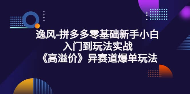 拼多多零基础新手小白入门到玩法实战《高溢价》异赛道爆单玩法实操课搞钱网创吧-网创项目资源站-副业项目-创业项目-搞钱项目搞钱网创吧