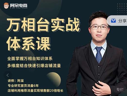 阿呆-万相台实战体系课，帮您全面掌握万相台知识体系搞钱网创吧-网创项目资源站-副业项目-创业项目-搞钱项目搞钱网创吧