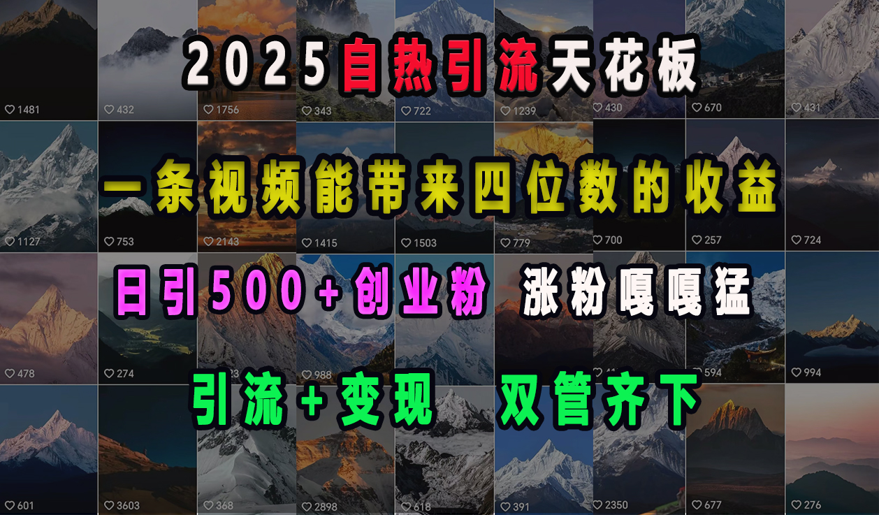 2025自热引流天花板，一条视频能带来四位数的收益，引流+变现双管齐下，日引500+创业粉，涨粉嘎嘎猛网创吧-网创项目资源站-副业项目-创业项目-搞钱项目搞钱网创吧