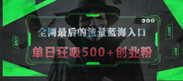 全网最后的流量蓝海入口，半小时引流50+创业粉，单日狂吸500+创业粉网创吧-网创项目资源站-副业项目-创业项目-搞钱项目搞钱网创吧