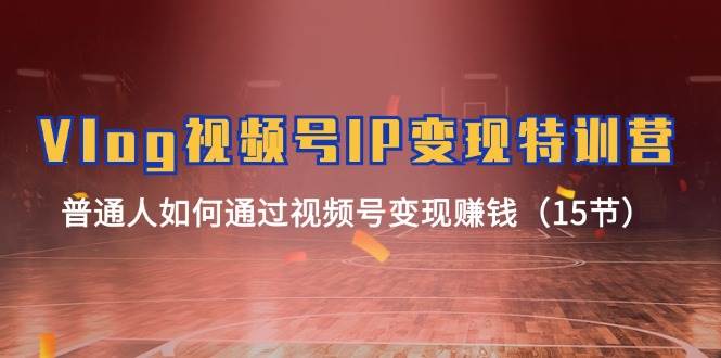 Vlog 视频号IP变现特训营，普通人如何通过视频号变现赚钱（15节）搞钱网创吧-网创项目资源站-副业项目-创业项目-搞钱项目搞钱网创吧