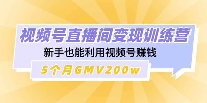 视频号直播间变现训练营网创吧-网创项目资源站-副业项目-创业项目-搞钱项目搞钱网创吧