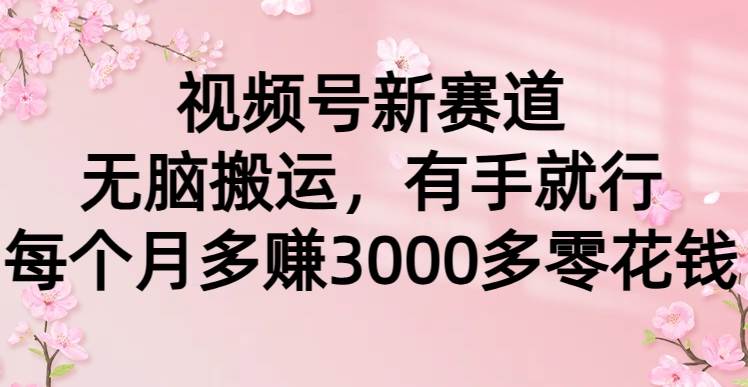 视频号新赛道，无脑搬运，有手就行，每个月多赚3000多零花钱网创吧-网创项目资源站-副业项目-创业项目-搞钱项目搞钱网创吧
