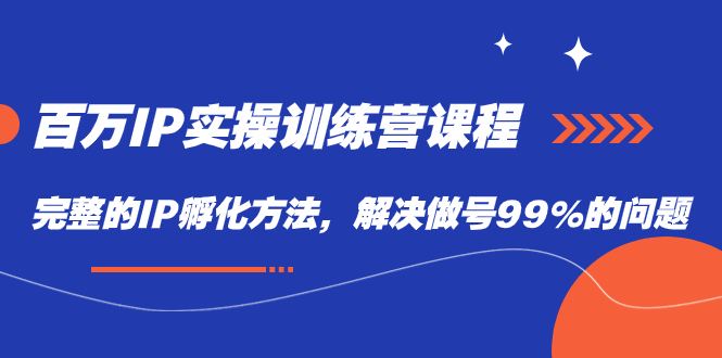百万IP实战训练营课程，完整的IP孵化方法，解决做号99%的问题网创吧-网创项目资源站-副业项目-创业项目-搞钱项目搞钱网创吧