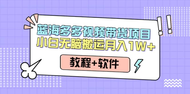 人人都能操作的蓝海多多视频带货项目 小白无脑搬运（教程+软件）搞钱网创吧-网创项目资源站-副业项目-创业项目-搞钱项目搞钱网创吧