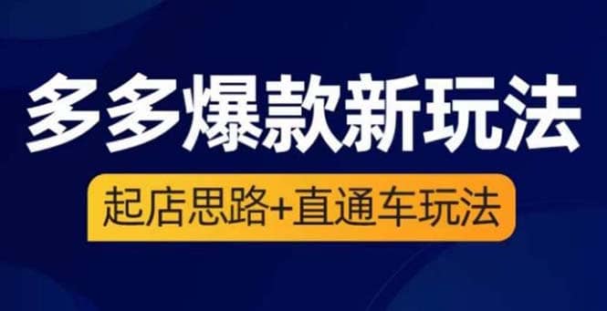 2023拼多多爆款·新玩法：起店思路+直通车玩法（3节精华课）搞钱网创吧-网创项目资源站-副业项目-创业项目-搞钱项目搞钱网创吧
