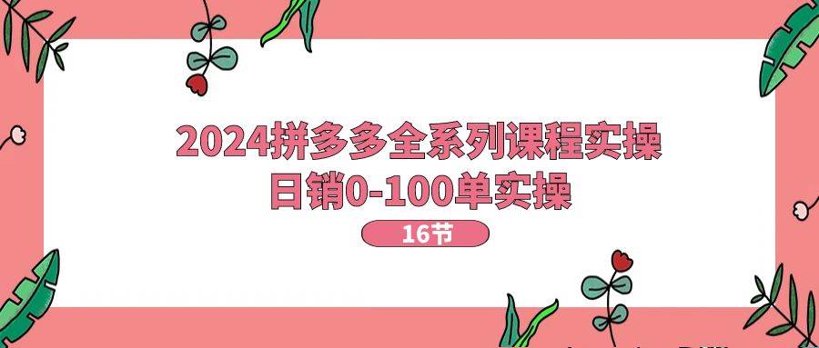 2024拼多多全系列课程实操，日销0-100单实操【16节课】搞钱网创吧-网创项目资源站-副业项目-创业项目-搞钱项目搞钱网创吧