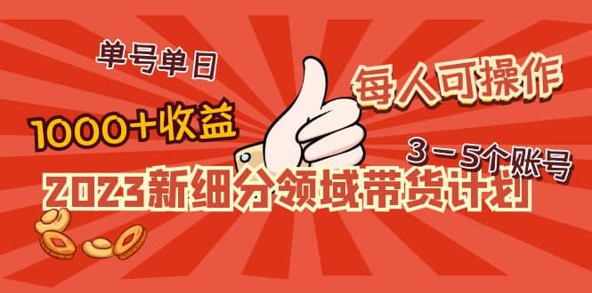 2023新细分领域带货计划：单号单日1000+收益不难，每人可操作3-5个账号网创吧-网创项目资源站-副业项目-创业项目-搞钱项目搞钱网创吧