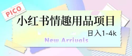 最新小红书情趣用品项目，日入1-4k网创吧-网创项目资源站-副业项目-创业项目-搞钱项目搞钱网创吧