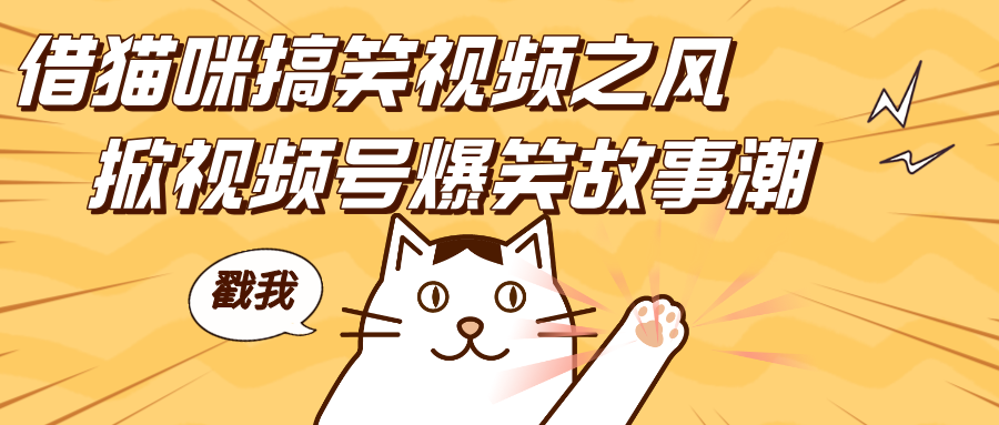 借猫咪搞笑视频之风，掀视频号爆笑故事潮，轻松日赚四位数，开启无门槛赚钱新体验！搞钱网创吧-网创项目资源站-副业项目-创业项目-搞钱项目搞钱网创吧