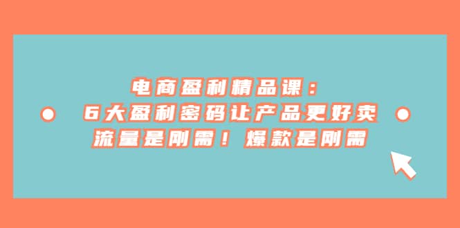 电商 盈利精品课：6大盈利 密码让产品更好卖，流量是刚需！爆款是刚需网创吧-网创项目资源站-副业项目-创业项目-搞钱项目搞钱网创吧