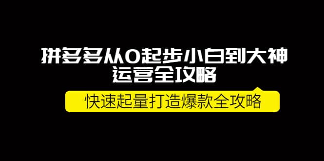 拼多多从0起步小白到大神运营全攻略网创吧-网创项目资源站-副业项目-创业项目-搞钱项目搞钱网创吧