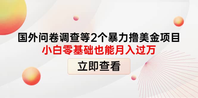 国外问卷调查等2个暴力撸美元项目，小白零基础也能月入过万网创吧-网创项目资源站-副业项目-创业项目-搞钱项目搞钱网创吧