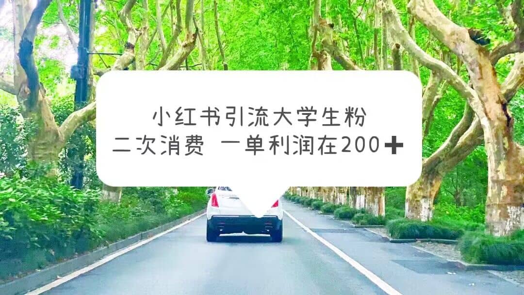 小红书引流大学生粉，变现项目，一单利润在200+（教程+资源）搞钱网创吧-网创项目资源站-副业项目-创业项目-搞钱项目搞钱网创吧