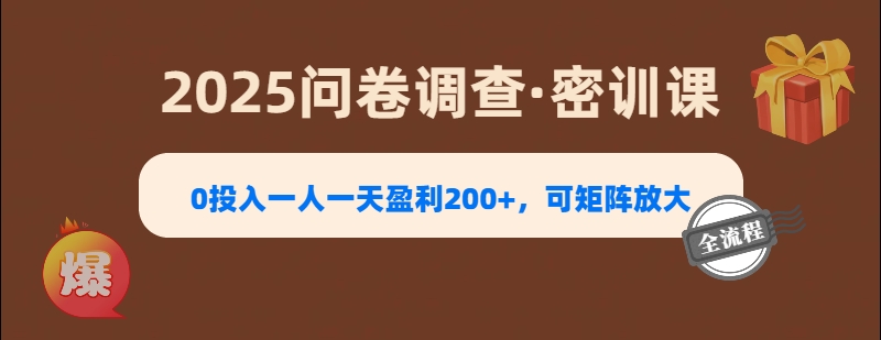 2025《问卷调查》0投入一人一天盈利200+，可矩阵放大网创吧-网创项目资源站-副业项目-创业项目-搞钱项目搞钱网创吧