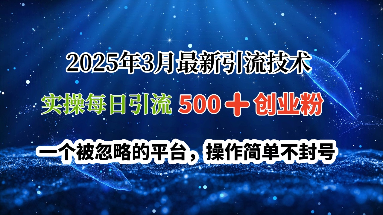 2025年3月最新引流技术，实操每日引流500➕创业粉，一个被忽略的平台，操作简单不封号网创吧-网创项目资源站-副业项目-创业项目-搞钱项目搞钱网创吧