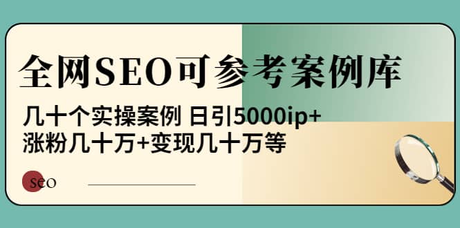 《全网SEO可参考案例库》几十个实操案例网创吧-网创项目资源站-副业项目-创业项目-搞钱项目搞钱网创吧