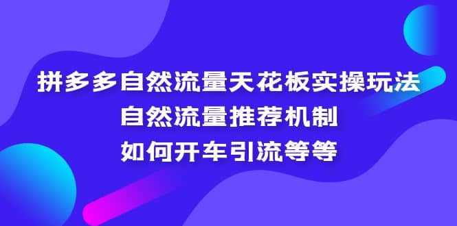 拼多多自然流量天花板实操玩法：自然流量推荐机制，如何开车引流等等网创吧-网创项目资源站-副业项目-创业项目-搞钱项目搞钱网创吧