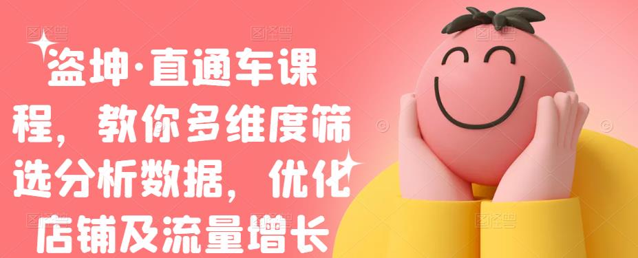 盗坤·直通车课程，教你多维度筛选分析数据，优化店铺及流量增长网创吧-网创项目资源站-副业项目-创业项目-搞钱项目搞钱网创吧