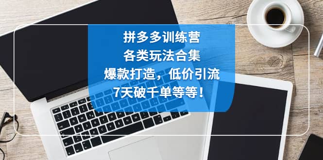 拼多多训练营：各玩法合集，爆款打造，低价引流，7天破千单等等网创吧-网创项目资源站-副业项目-创业项目-搞钱项目搞钱网创吧