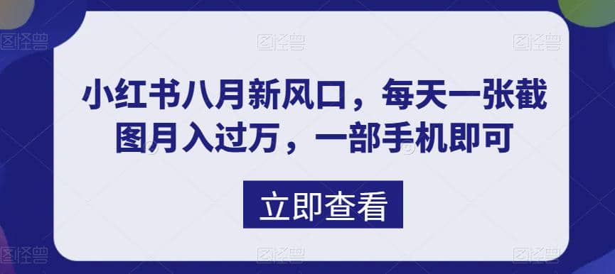 八月新风口，小红书虚拟项目一天收入1000+，实战揭秘网创吧-网创项目资源站-副业项目-创业项目-搞钱项目搞钱网创吧