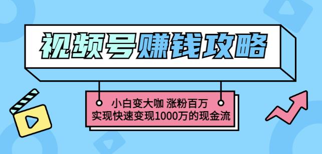 玩转微信视频号赚钱：小白变大咖涨粉百万实现快速变现1000万的现金流搞钱网创吧-网创项目资源站-副业项目-创业项目-搞钱项目搞钱网创吧
