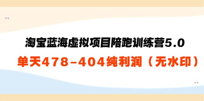 淘宝蓝海虚拟项目陪跑训练营5.0：单天478纯利润（无水印）搞钱网创吧-网创项目资源站-副业项目-创业项目-搞钱项目搞钱网创吧