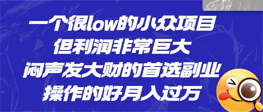 一个很low的小众项目，但利润非常巨大，闷声发大财的首选副业，月入过万网创吧-网创项目资源站-副业项目-创业项目-搞钱项目搞钱网创吧