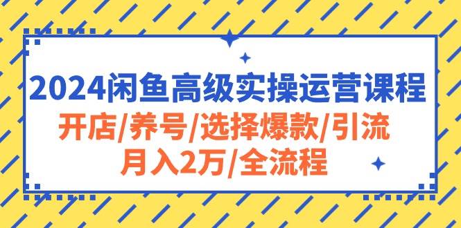 2024闲鱼高级实操运营课程：开店/养号/选择爆款/引流/月入2万/全流程网创吧-网创项目资源站-副业项目-创业项目-搞钱项目搞钱网创吧