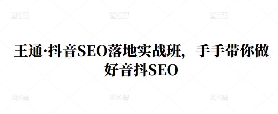 王通·抖音SEO落地实战班，手‬手带你做好音抖‬‬SEO网创吧-网创项目资源站-副业项目-创业项目-搞钱项目搞钱网创吧