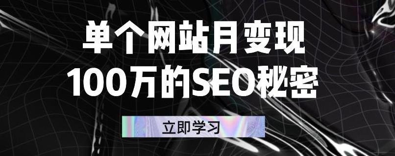 单个网站月变现100万的SEO秘密，百分百做出赚钱站点搞钱网创吧-网创项目资源站-副业项目-创业项目-搞钱项目搞钱网创吧
