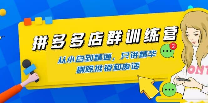 拼多多店群训练营：从小白到精通，只讲精华，剔除推销和废话网创吧-网创项目资源站-副业项目-创业项目-搞钱项目搞钱网创吧