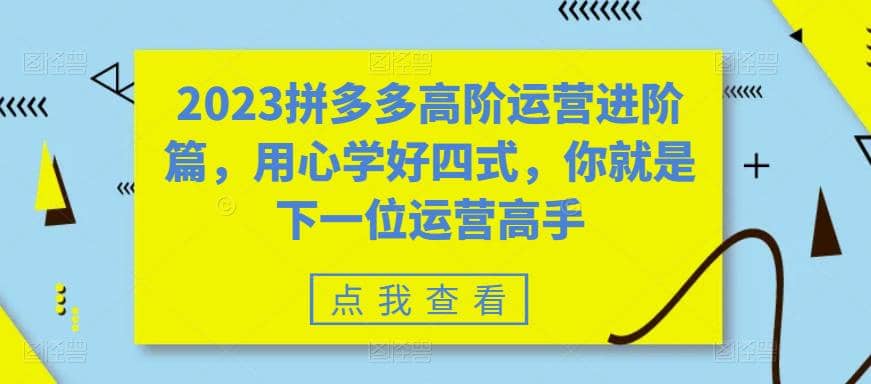 2023拼多多高阶运营进阶篇，用心学好四式，你就是下一位运营高手搞钱网创吧-网创项目资源站-副业项目-创业项目-搞钱项目搞钱网创吧